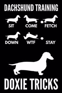 Dachshund Training - Doxie Tricks