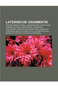 Lateinische Grammatik: Partizip Perfekt Passiv, Grammatik Des Lateinischen, Lateinische Metrik, Gerundium, Lateinische Zahlworter