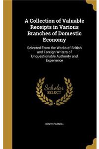 Collection of Valuable Receipts in Various Branches of Domestic Economy