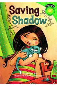Saving Shadow