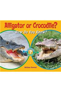 Alligator or Crocodile?