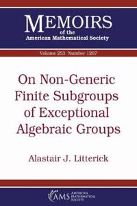 On Non-Generic Finite Subgroups of Exceptional Algebraic Groups