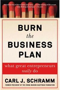 Burn the Business Plan