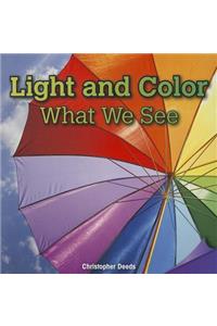 Light and Color: What We See