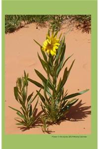 Flower in the dunes 2014 weekly calendar