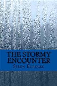 The Stormy Encounter