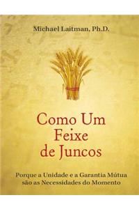 Como um Feixe de Juncos
