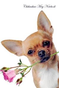 Chihuahua May Notebook Chihuahua Record, Log, Diary, Special Memories, to Do List, Academic Notepad, Scrapbook & More