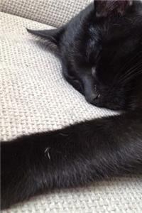 Black Cat Sleeping Journal