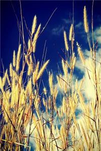 Wheat in a Field Journal
