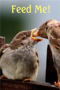 Journal Bird Feeding Bird