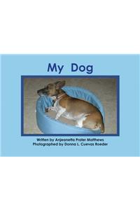 My Dog