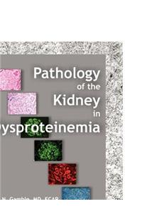 Pathology of the Kidney in Dysproteinemia