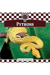 Pythons