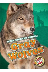 Gray Wolves