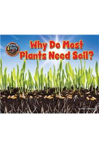 Why Do Most Plants Need Soil?