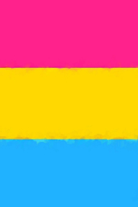 Pansexual Pride Flag Sketchbook