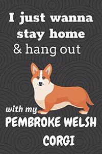 I just wanna stay home & hang out with my Pembroke Welsh Corgi