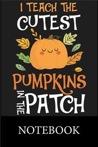I Teach The Cutest Pumpkins In The Patch Notebook