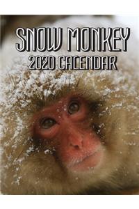 Snow Monkey 2020 Calendar