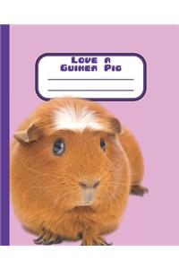 Love a Guinea Pig