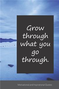 Grow through what you go through.