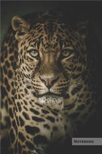 Leopard Notebook