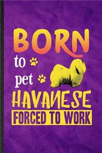 Born to Pet Havanese Forced to Work