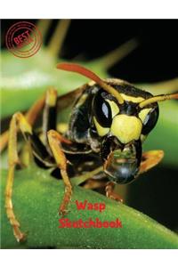 Wasp Sketchbook