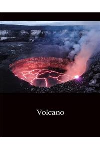 Daily Organizer and Planner