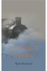 Journey of Destiny
