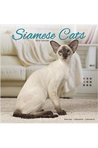 Siamese Cats Calendar 2018