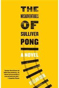 The Misadventures of Sulliver Pong