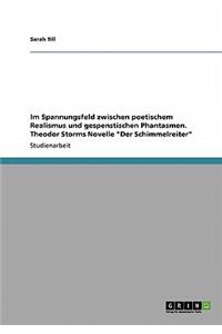 Im Spannungsfeld zwischen poetischem Realismus und gespenstischen Phantasmen. Theodor Storms Novelle 