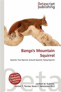 Bangs's Mountain Squirrel