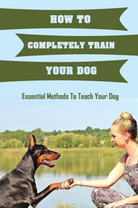 How To Completely Train Your Dog