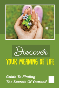 Discover Your Meaning Of Life