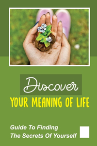Discover Your Meaning Of Life