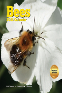 Bees Calendar 2021