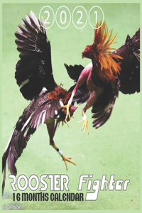 Rooster Fighter