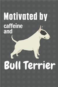 Motivated by caffeine and Bull Terrier