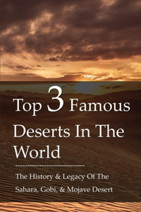 Top 3 Famous Deserts In The World