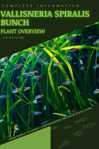 Vallisneria Spiralis Bunch