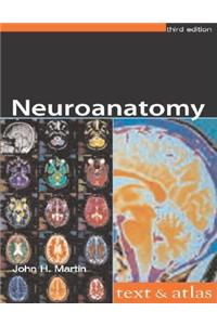 Neuroanatomy