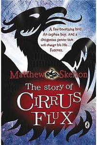 Story of Cirrus Flux