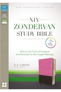 Study Bible-NIV