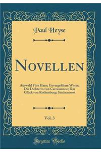 Novellen, Vol. 3: Auswahl Fürs Haus; Unvergeßbare Worte; Die Dichterin von Carcassonne; Das Glück von Rothenburg; Siechentrost (Classic Reprint)