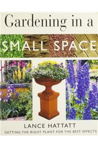 Gardening in a Small Space (Mini Gardening)