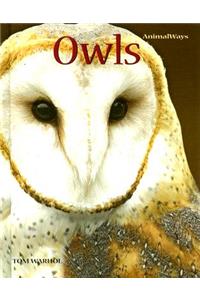 Owls