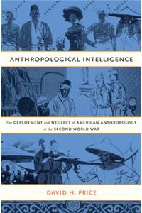 Anthropological Intelligence